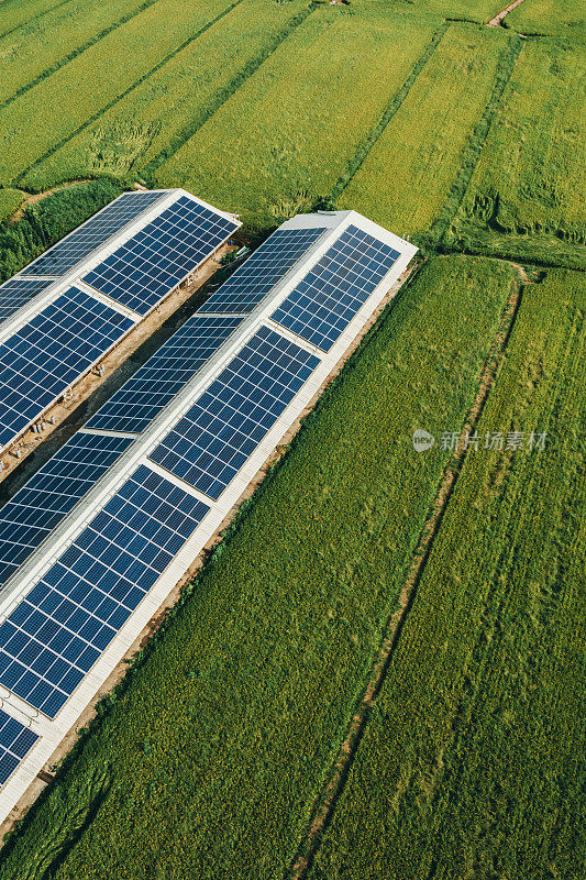太阳能板鸟瞰图，台湾农业景观
