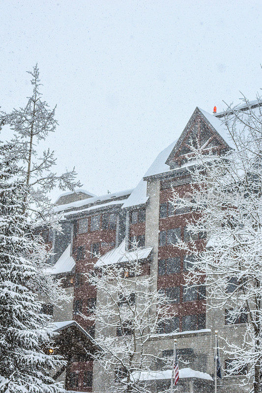 阿拉斯加格德伍德的雪