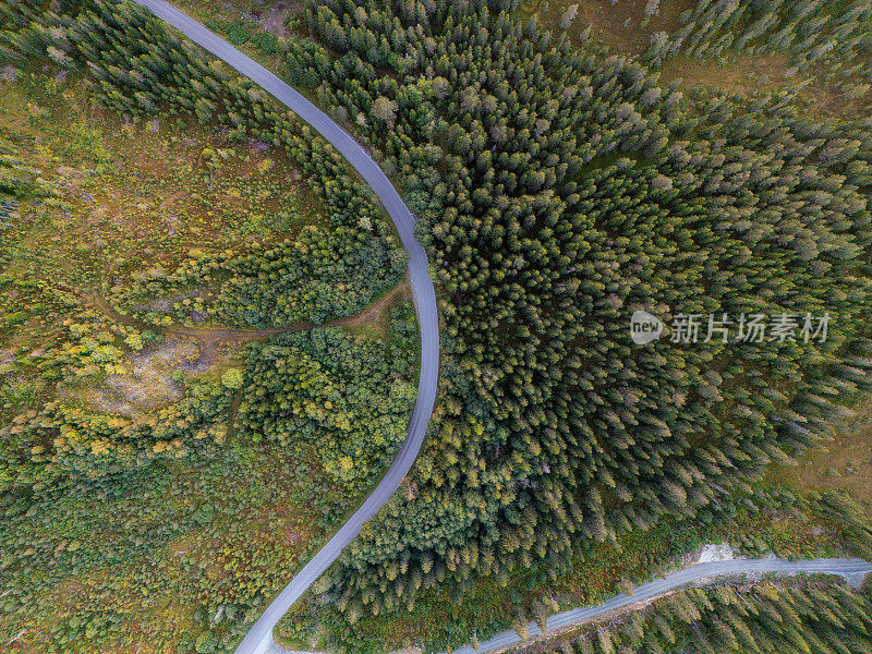 从上面看蜿蜒的森林道路