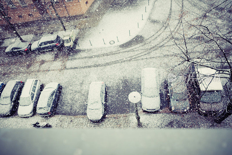 柏林第一场雪