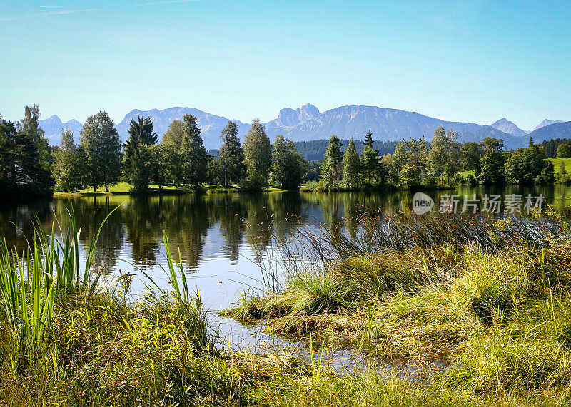 在Schwaltenweiher湖沐浴，Ost-Allgäu，巴伐利亚，德国