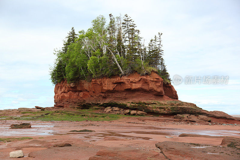 在燃烧头公园的风景，减去盆地，新斯科舍省，加拿大