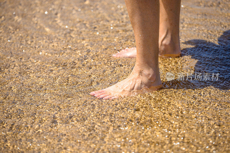 一双光着的腿站在阳光下柔软潮湿的沙滩上