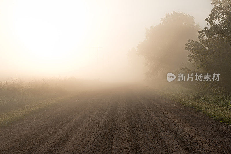 日出时雾蒙蒙的乡间小路