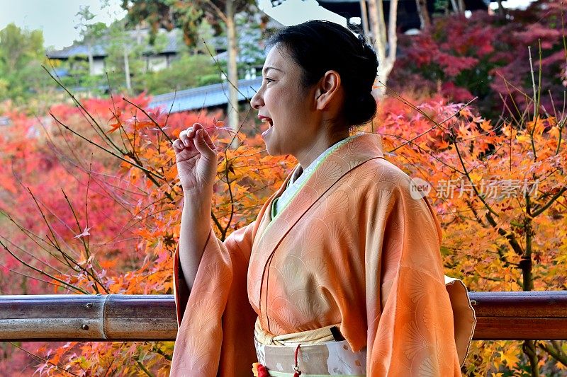 京都Tofuku-ji，穿着和服和秋叶的日本女人