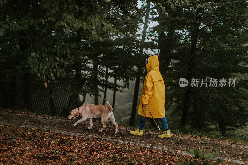 年轻女子和她的狗享受雨天