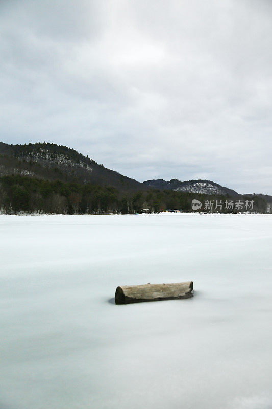 原木，冬季冰雪，莫罗湖州立公园，纽约