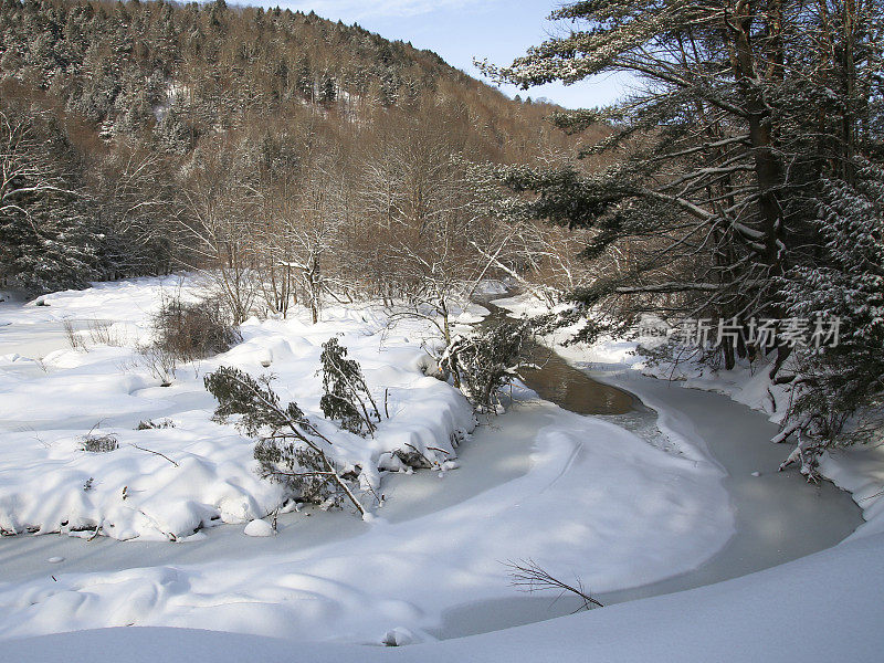 流动的小溪，刚落的雪，冬天树木繁茂的景观