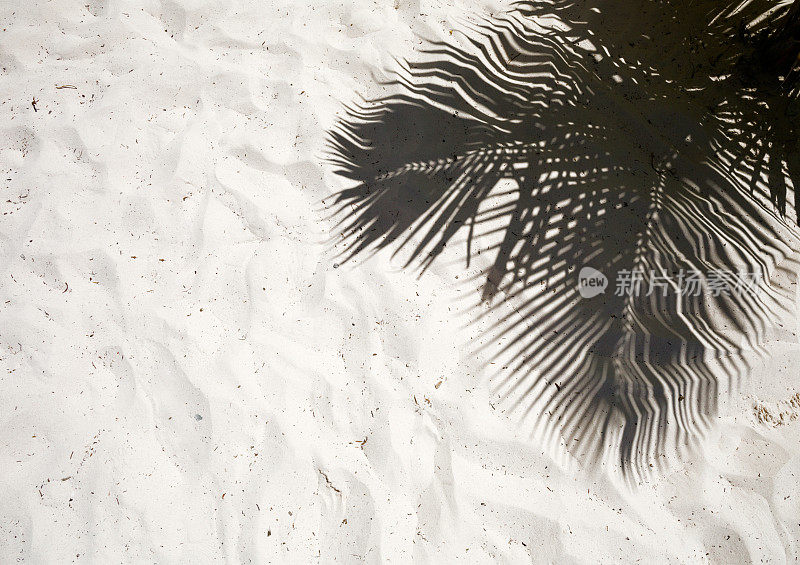 在多米尼加共和国一个偏远的热带岛屿海滩上，棕榈树的影子投射在光滑的金色沙滩上