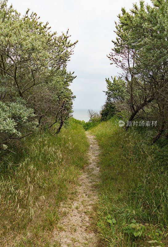 荷兰，泽兰，通往自然保护区Oranjezon海滩的小路