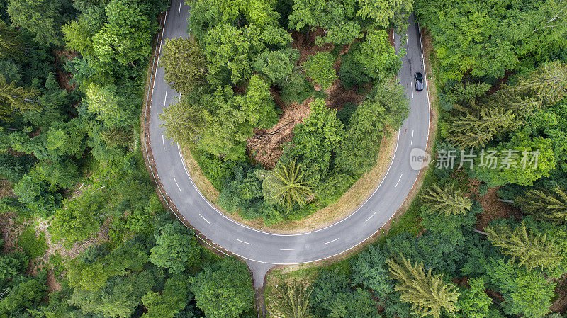 蜿蜒的道路穿过森林