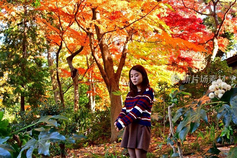 年轻的日本女人站在美丽的秋叶下锻炼，东京