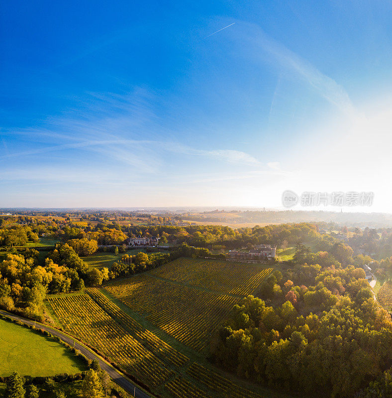 鸟瞰图，葡萄园秋天的日出，波尔多葡萄园，吉隆，法国