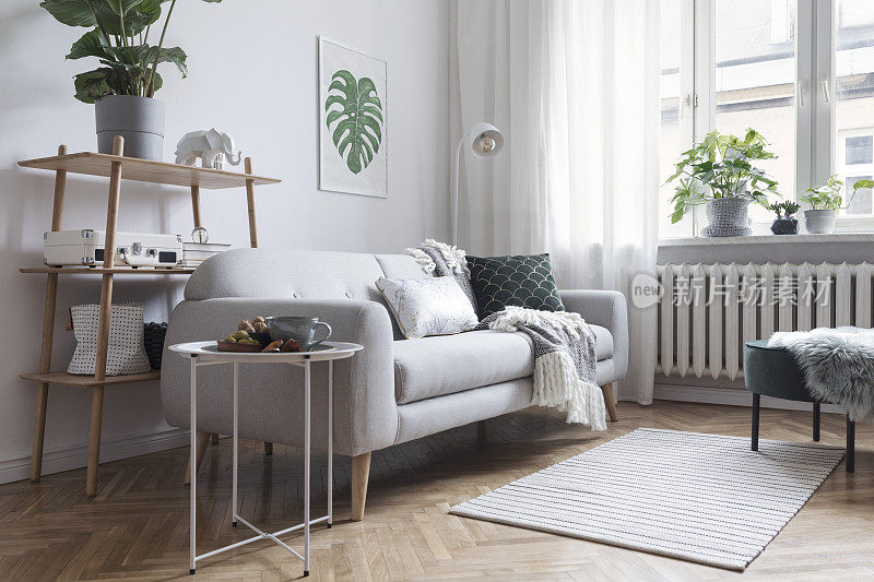 时尚和简约的斯堪的纳维亚室内设计沙发，热带植物，书架，咖啡桌，舒适的毯子和地毯。白色的背景墙，棕色的拼花地板和现代的灯。