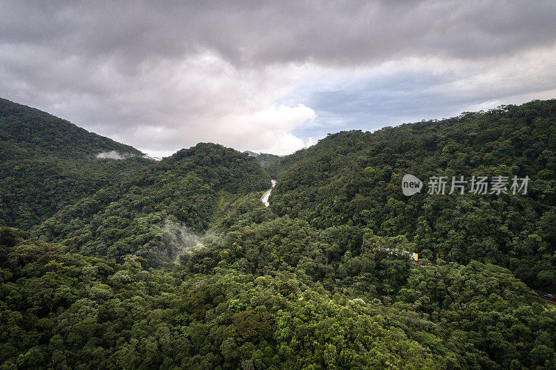 森林中道路的鸟瞰图