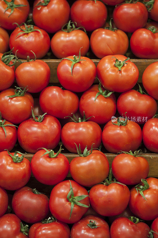 一排排成熟的红番茄在摊位上出售。