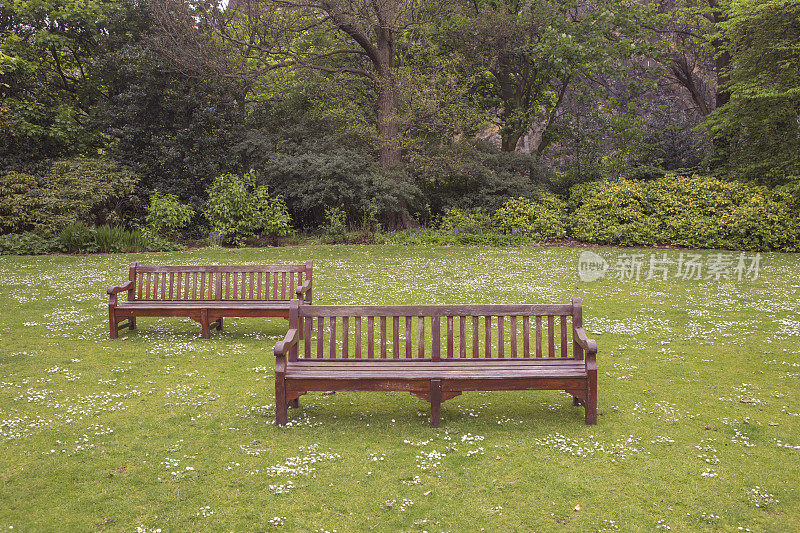 在英国苏格兰爱丁堡的王子街花园，空空的木制公园座椅长椅和雏菊花