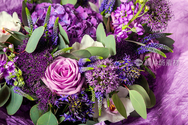 紫色的花束有多种颜色
