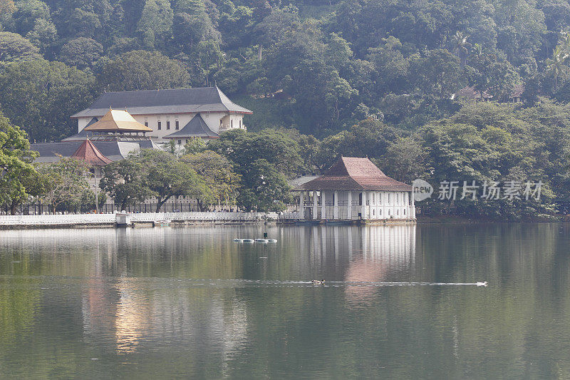 达拉达马利加瓦坎迪斯里兰卡寺庙的金色屋顶视图