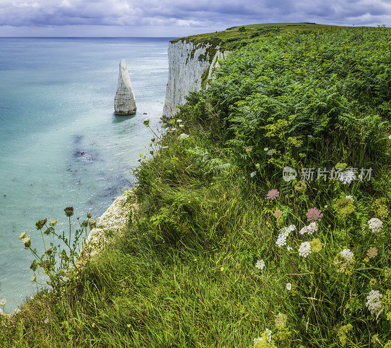 白色的悬崖海烟囱蓝色的海洋侏罗纪海岸多塞特英国