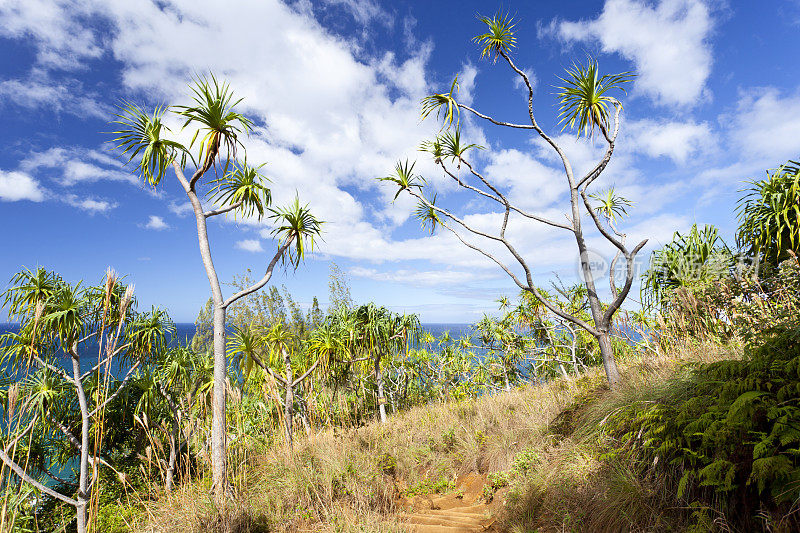 Kalalau小道,考艾岛