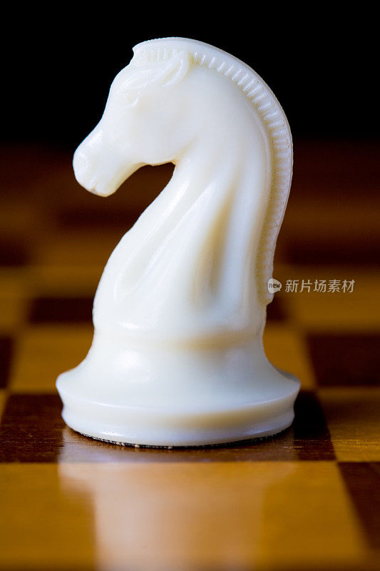 国际象棋的骑士