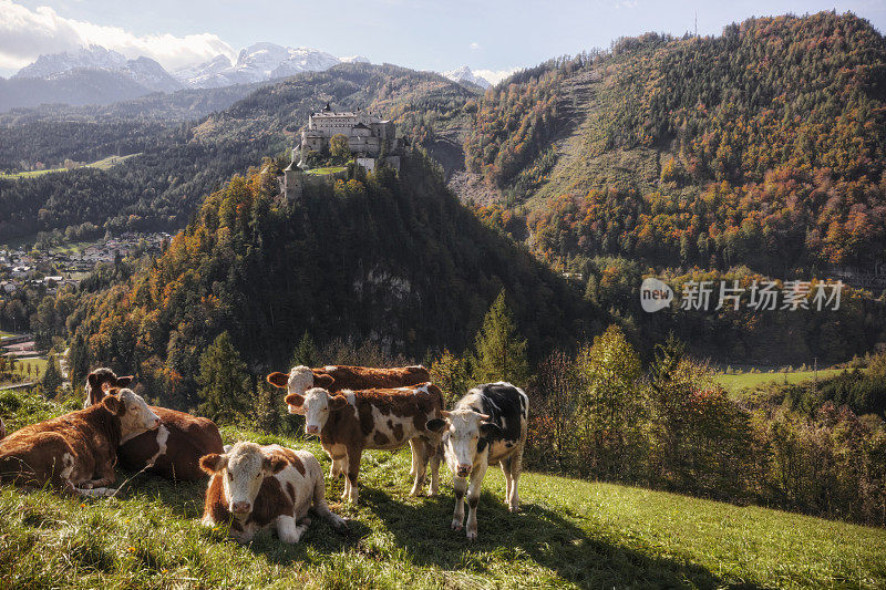 奥地利阿尔卑斯山