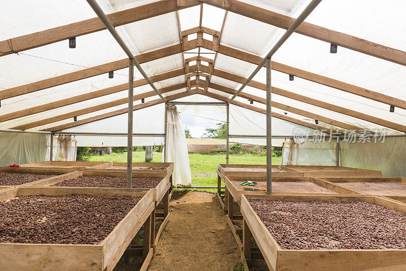 哥斯达黎加可可豆的传统自然农业生产工艺