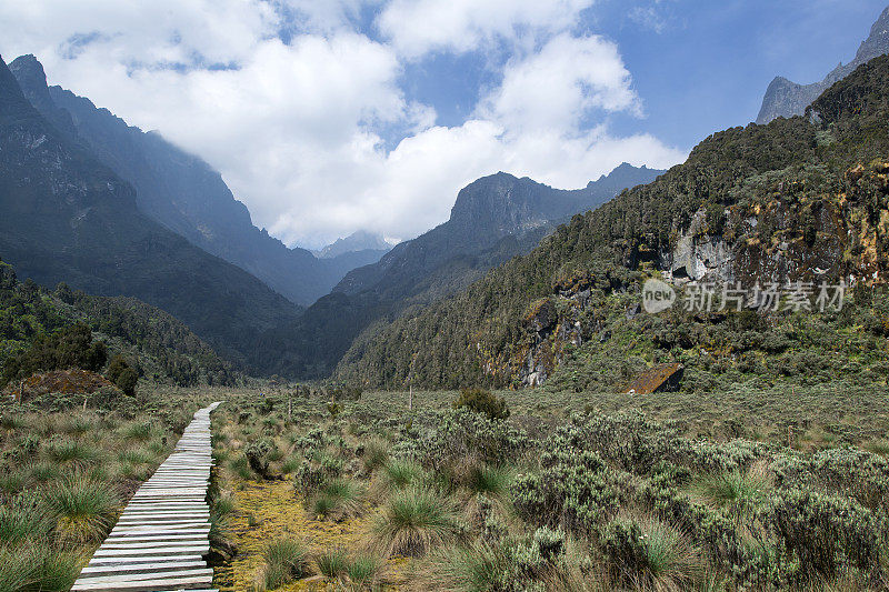 非洲乌干达鲁文佐里山的比戈沼泽