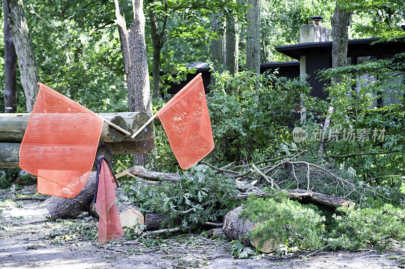 龙卷风摧毁了树木繁茂的地区