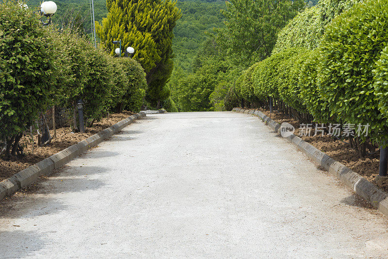 绿树成荫的道路