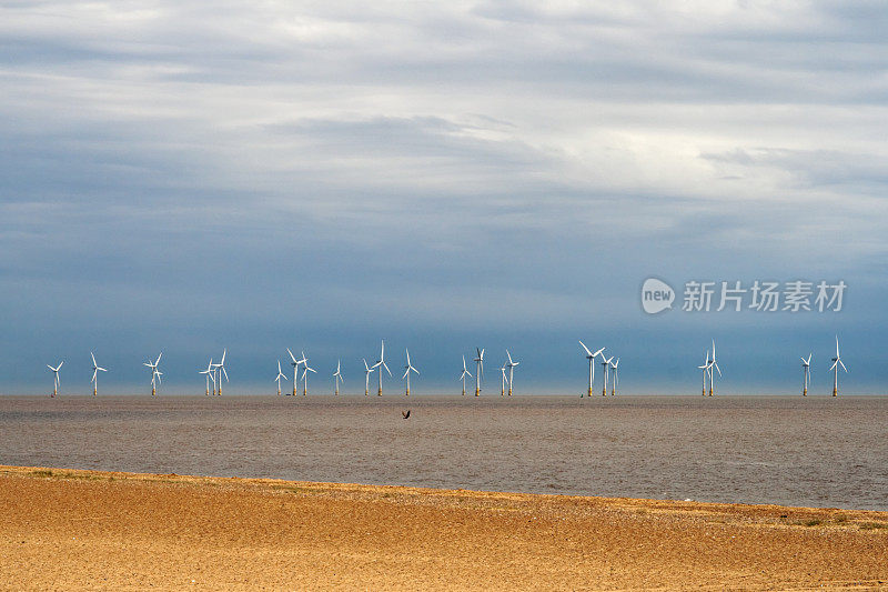 大雅茅斯海滩的风力发电场