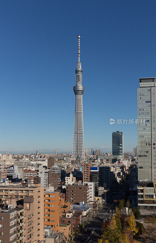 东京的城市