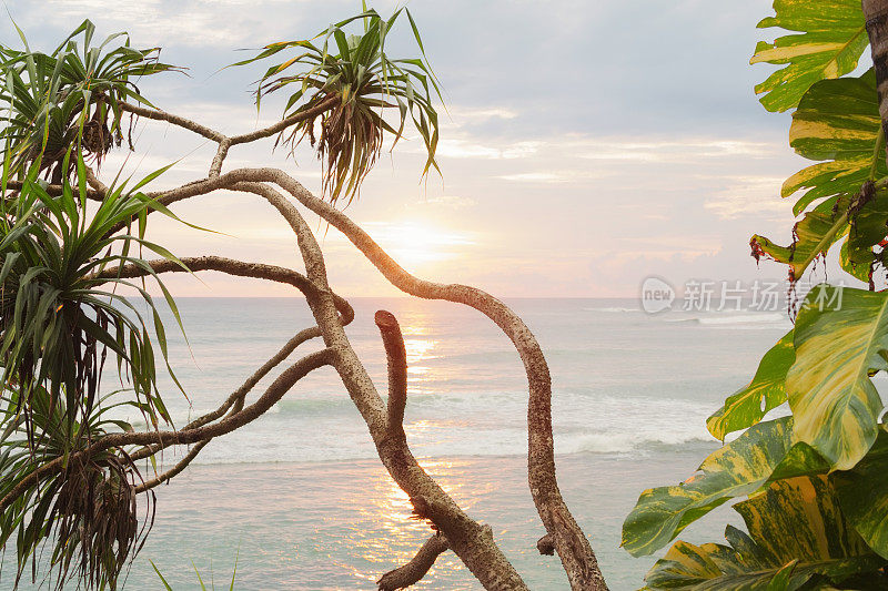 印度洋上的热带日落，威利加马，斯里兰卡