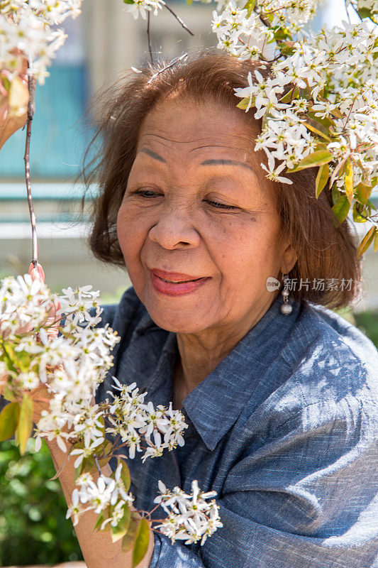 闻花