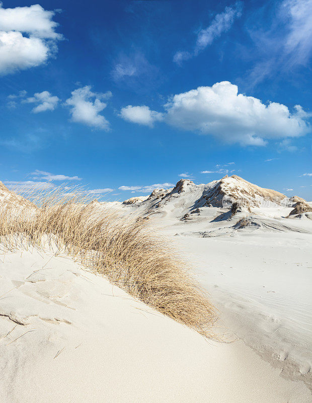 沙丘景观靠近海滩