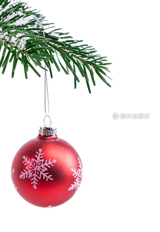 红色的圣诞球挂在冷杉树枝上