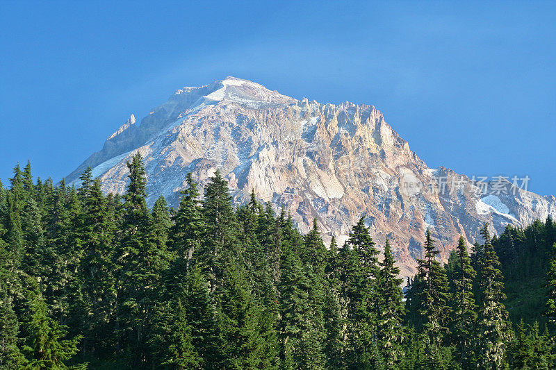 胡德山特写