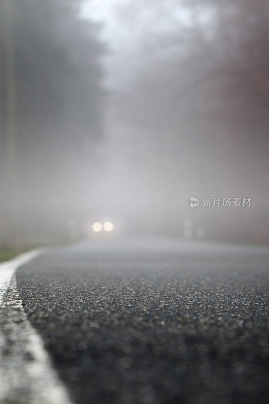 乡村道路上有浓雾，迎面驶来的车辆