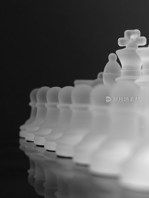 国际象棋组