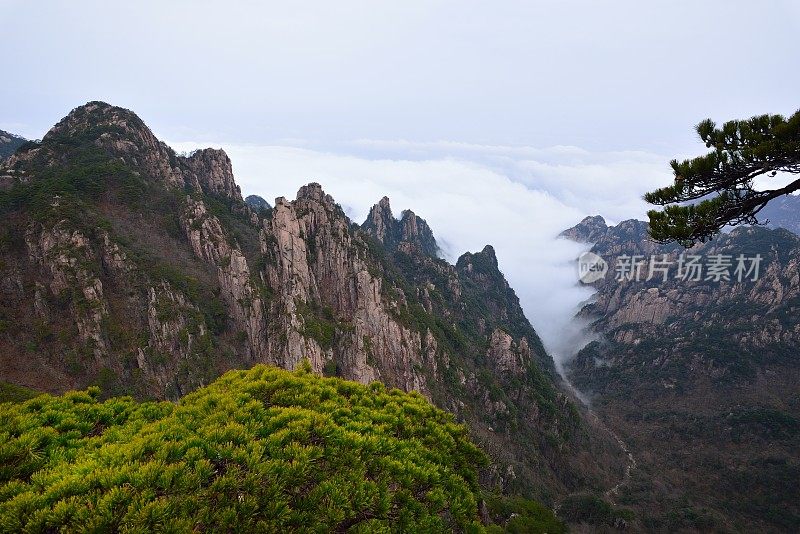 黄山山谷的云流002