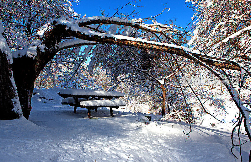 冬季景观与雪