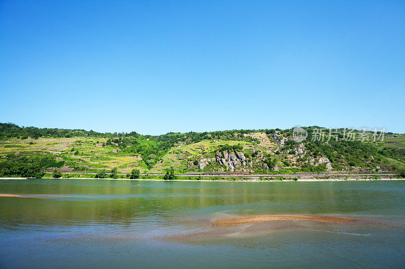 夏天莱茵河的风景