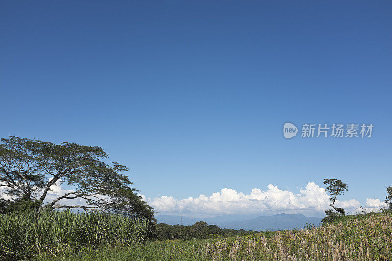 中美洲的景观