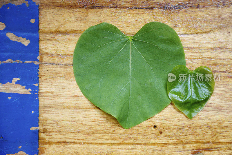 爱情心形叶子在木制的背景
