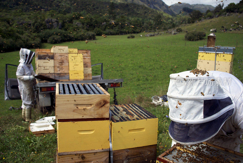 商业养蜂人与蜂箱