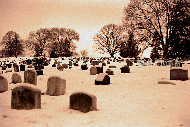 绿林公墓的雪夜