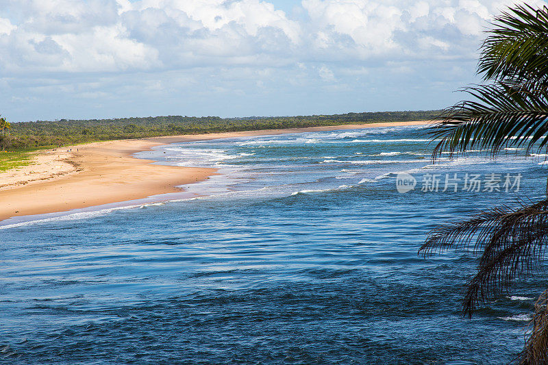 巴西巴伊亚的热带海滩