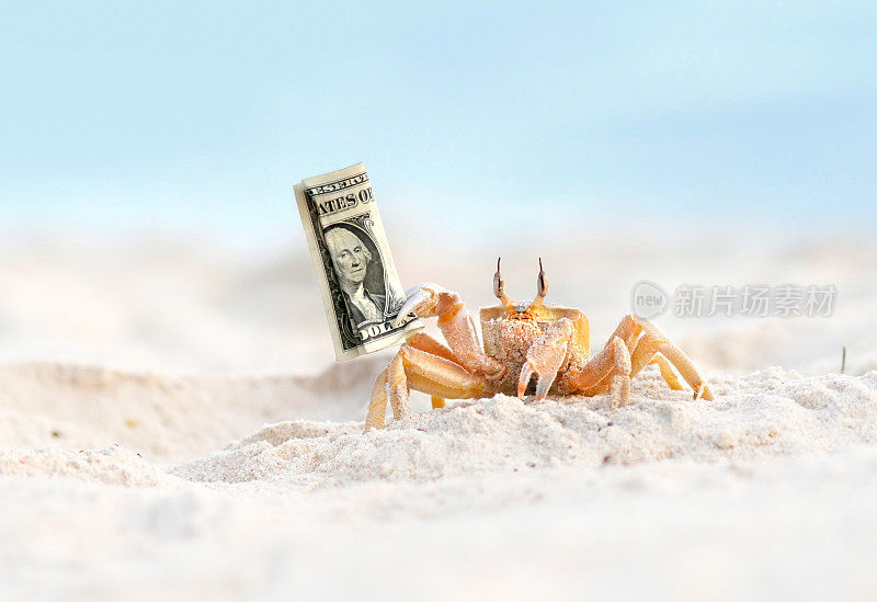 蟹偷美元