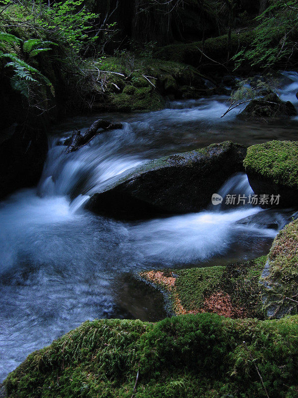 长满青苔的小溪5